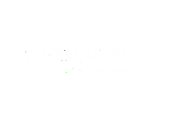 vivogaming (8 games)